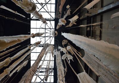 Photo by Krishan Mistry (2)