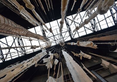 Photo by Krishan Mistry (3)